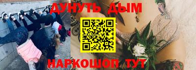 наркотики Камышлов