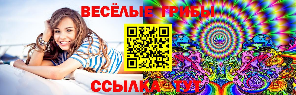 Псилоцибиновые грибы ЛСД  Вход с VPN  Ялуторовск  Псилоцибиновые грибы мицелий 